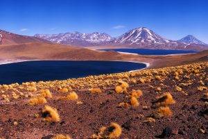 panoramas, Desert, Mountain, Chile, Dry Grass, Nature, Landscape, Blue, Yellow, Snowy Peak