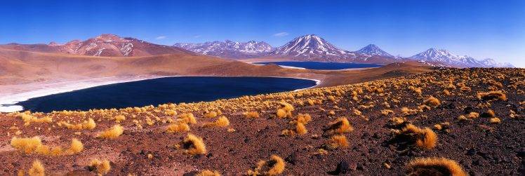 panoramas, Desert, Mountain, Chile, Dry Grass, Nature, Landscape, Blue, Yellow, Snowy Peak HD Wallpaper Desktop Background