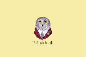 quote, Kanye West, Owl