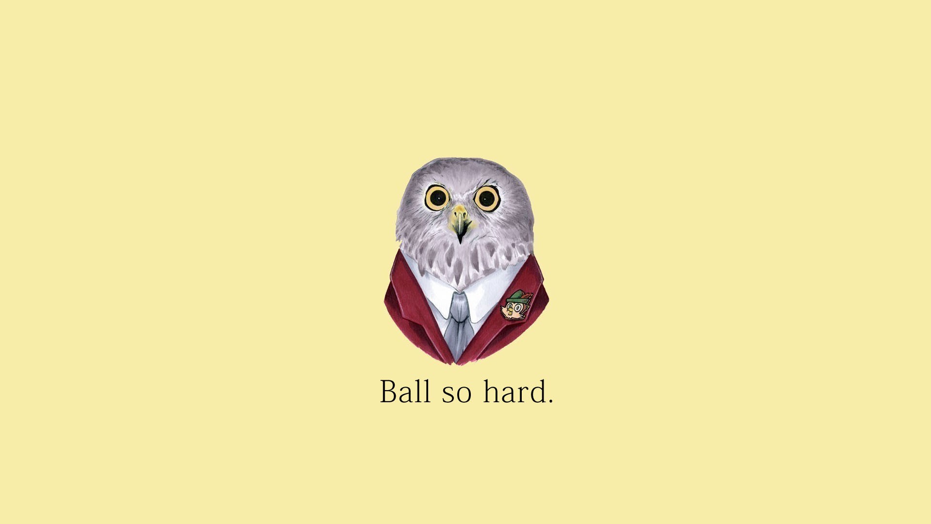 quote, Kanye West, Owl Wallpaper