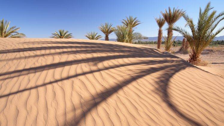 nature, Landscape, Palm Trees, Sand, Desert, Dune, Shadow, Trees, Hill HD Wallpaper Desktop Background