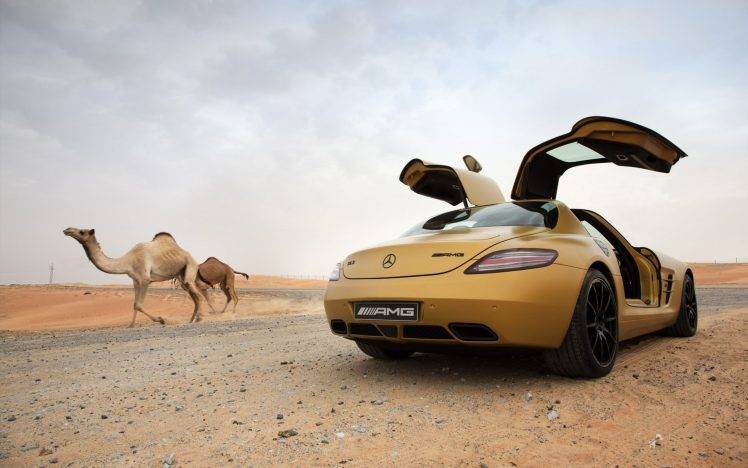 car, Mercedes Benz SLS AMG, Desert, Camels, Animals HD Wallpaper Desktop Background