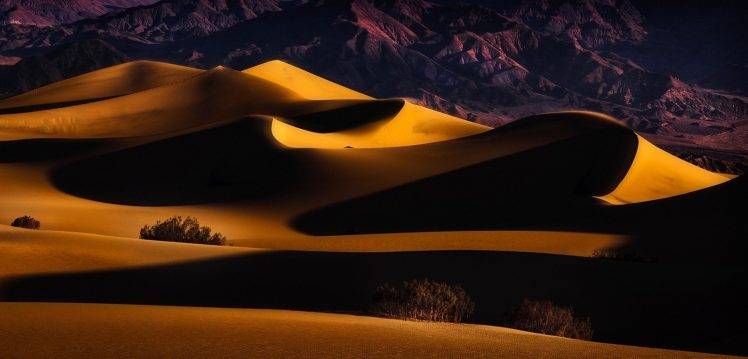 sunrise, Mountain, Trees, Dune, Desert, Gold, Nature, Landscape HD Wallpaper Desktop Background