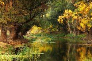Hungary, Fall, River, Trees, Yellow, Green, Water, Nature, Landscape