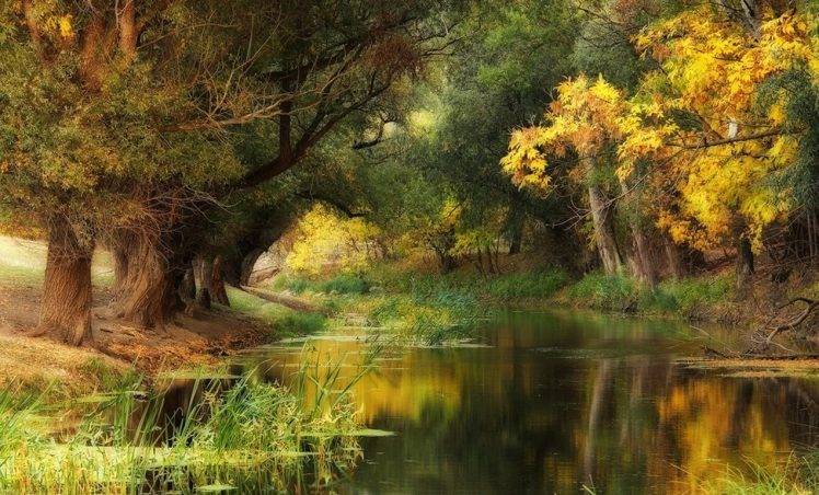 Hungary, Fall, River, Trees, Yellow, Green, Water, Nature, Landscape HD Wallpaper Desktop Background