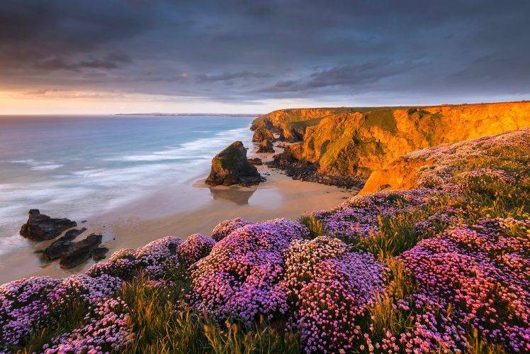 coast, Beach, Flowers, Sunset, Sand, Sea, Cliff, Clouds, Rock, Nature, Landscape HD Wallpaper Desktop Background