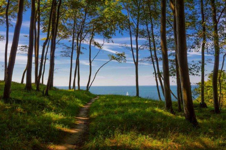forest, Path, Sea, Trees, Germany, Green, Blue, Coast, Nature, Landscape HD Wallpaper Desktop Background