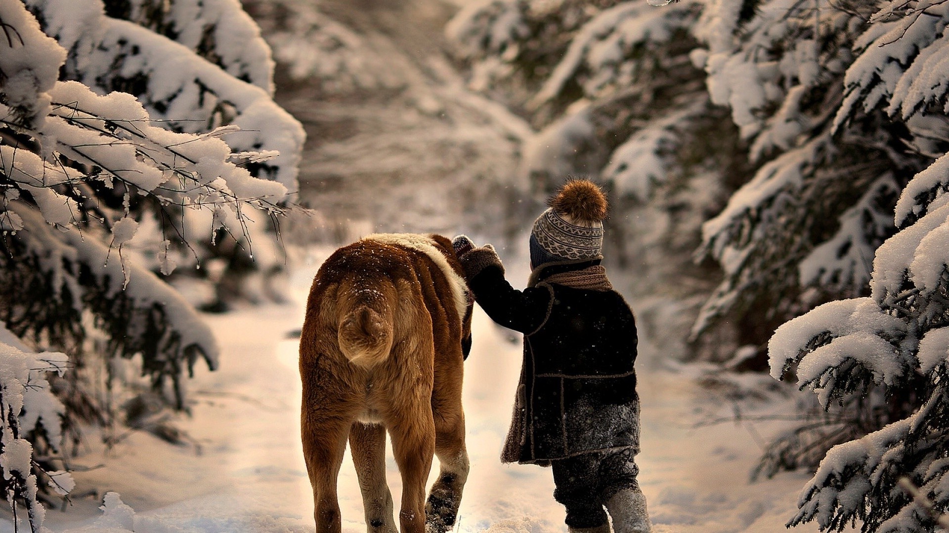 children, Dog, Snow, Animals Wallpaper