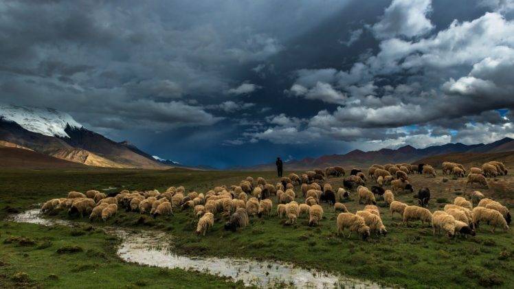 nature, Landscape, Mountain, Hill, Water, Snow, Men, Clouds, Stream, Sheep, Animals HD Wallpaper Desktop Background