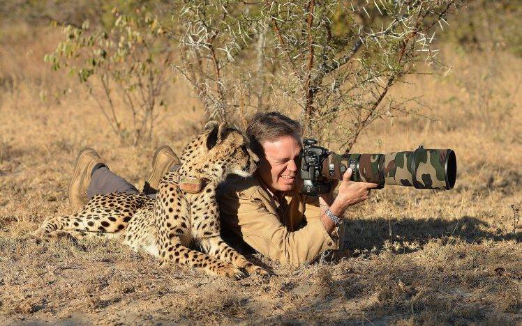 animals, Nature, Photographers, Camouflage, Cheetah HD Wallpaper Desktop Background