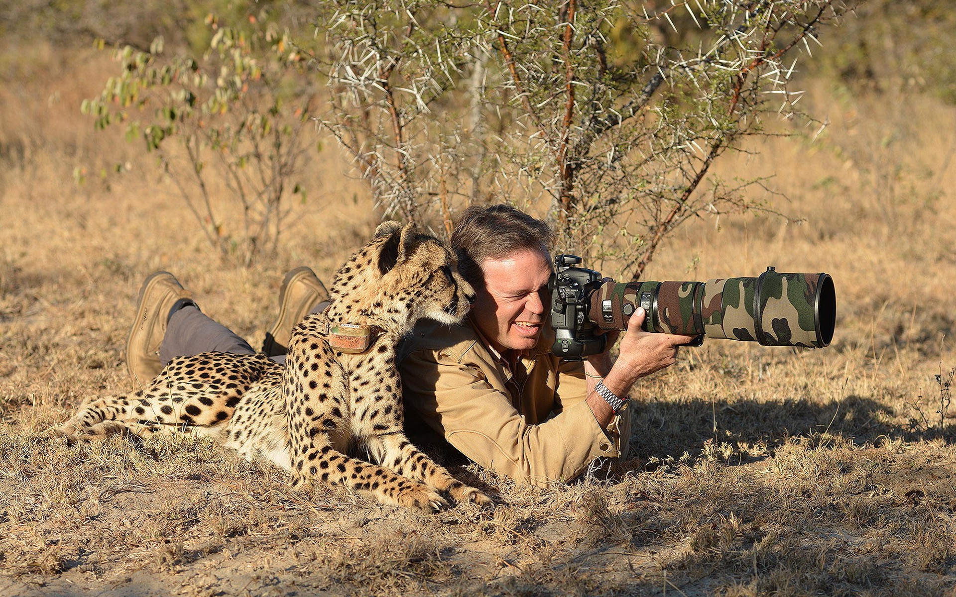 animals, Nature, Photographers, Camouflage, Cheetah Wallpaper