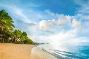 beach, Sand, Sea, Palm Trees, Clouds, Water, Nature, Landscape, Blue, Green, White, Vacations