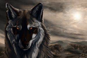 wolf, Artwork, Digital Art, Animals