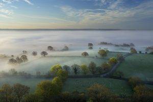 nature, Landscape, Trees, Forest, Hill, Morning, Mist, Field, Clouds, Sheep, UK, Grass, Horizon
