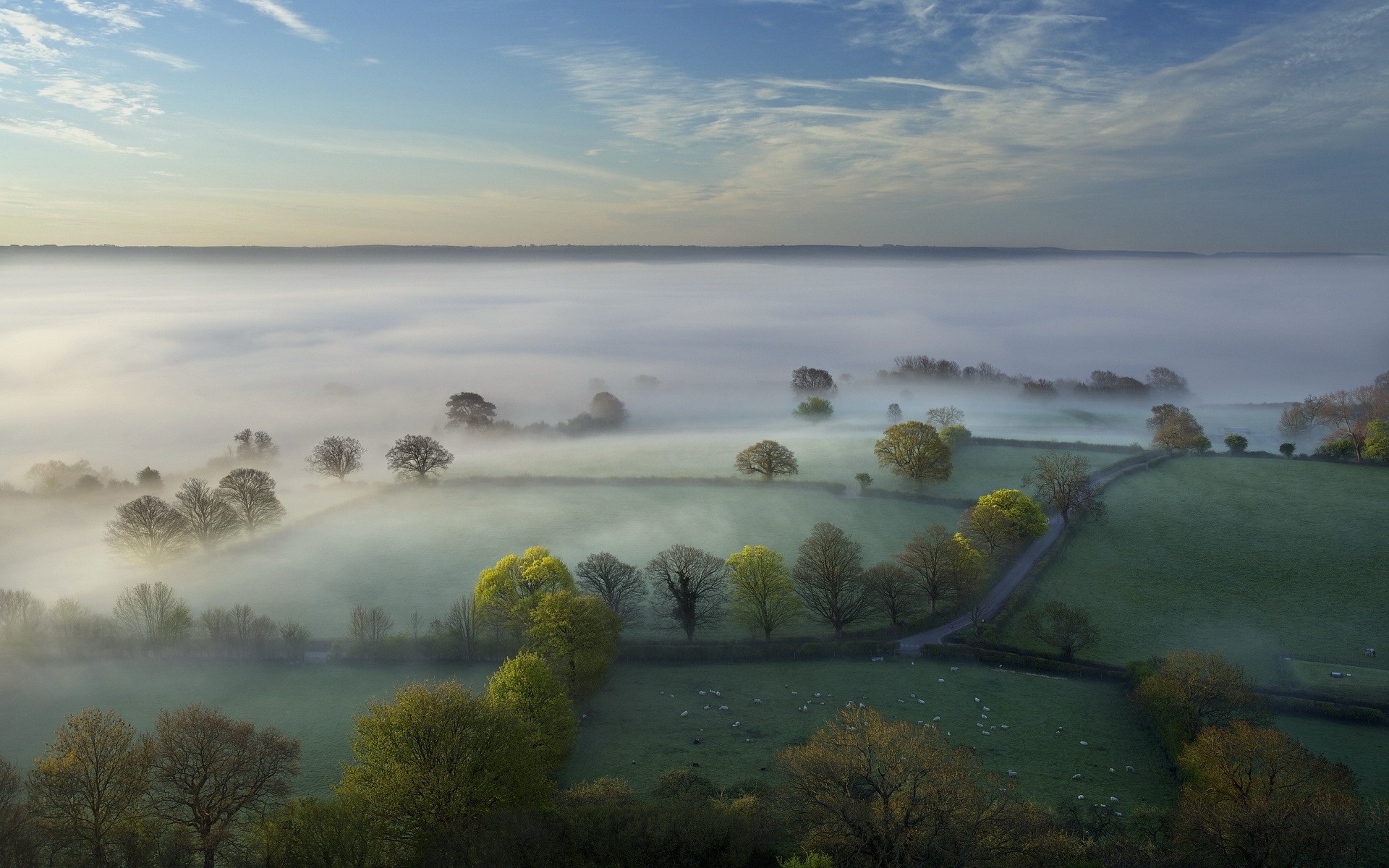 nature, Landscape, Trees, Forest, Hill, Morning, Mist, Field, Clouds, Sheep, UK, Grass, Horizon Wallpaper