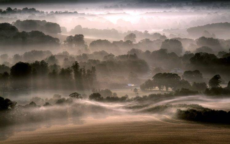nature, Landscape, Trees, Forest, Hill, Morning, Mist, Field, Sun Rays HD Wallpaper Desktop Background