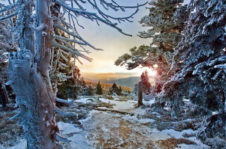 winter, Forest, Snow, Sunset, Trees, Frost, Cold, Czech Republic, Mountain, White, Nature, Landscape HD Wallpaper Desktop Background