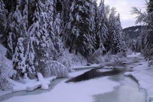 landscape, Ice, River, Snow, Forest, Nature