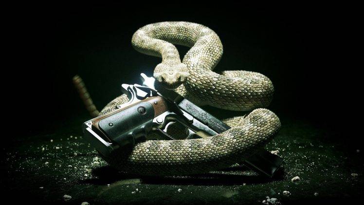 animals, Snake, Gun HD Wallpaper Desktop Background