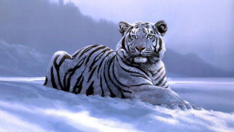 animals, Tiger, Artwork, White Tigers HD Wallpaper Desktop Background