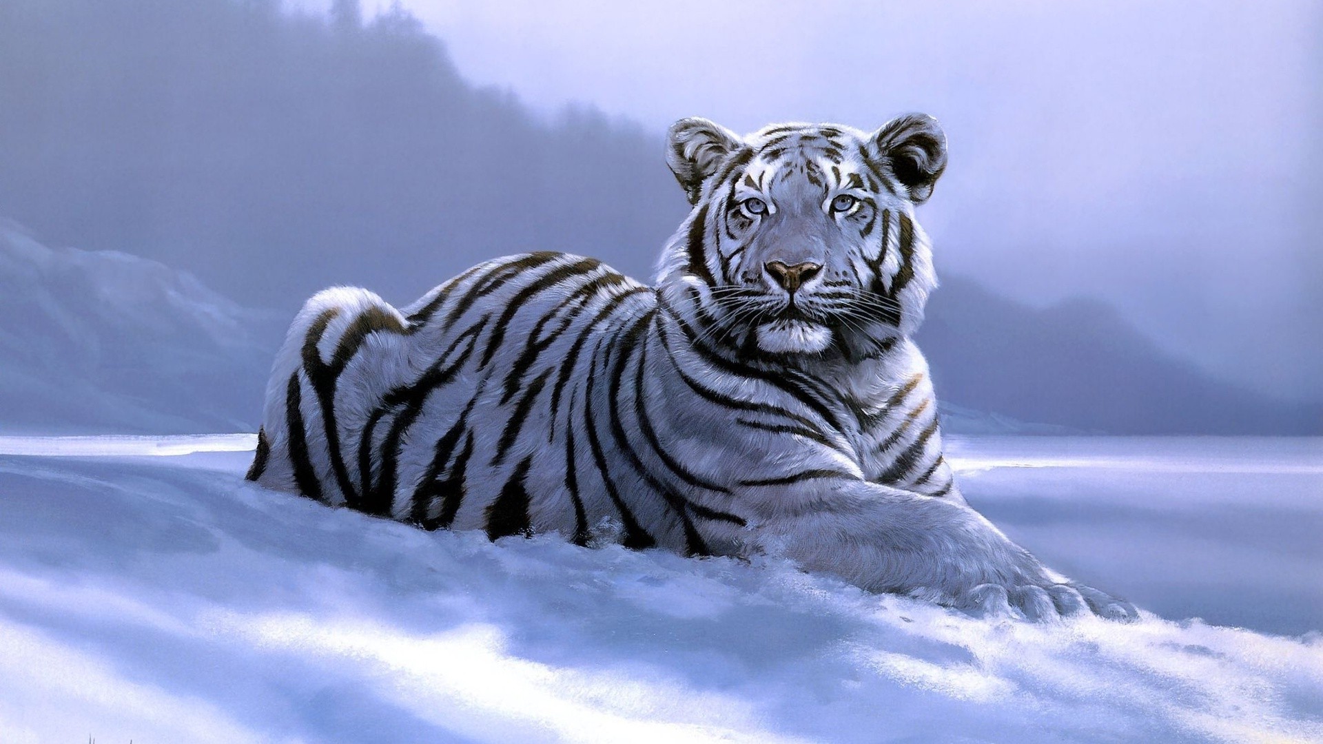animals, Tiger, Artwork, White Tigers Wallpaper