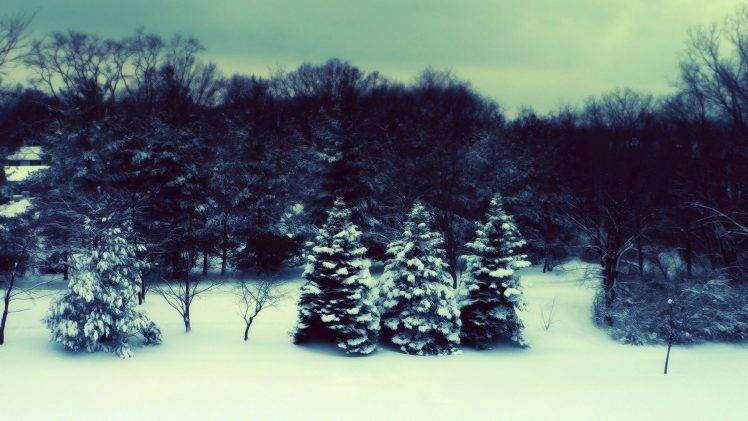 snow, Forest, Landscape, Nature HD Wallpaper Desktop Background