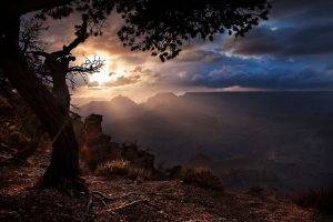 sunset, Grand Canyon, Trees, Clouds, Sun Rays, Nature, Landscape
