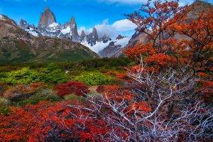 fall, Mountain, Forest, Patagonia, Trees, Snowy Peak, Argentina, Nature, Landscape
