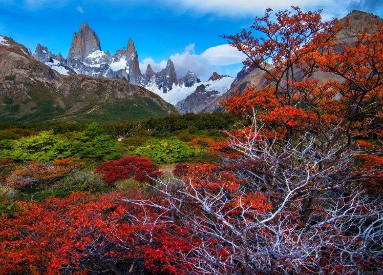 fall, Mountain, Forest, Patagonia, Trees, Snowy Peak, Argentina, Nature, Landscape HD Wallpaper Desktop Background