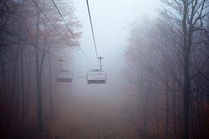 mist, Trees, Landscape, Forest