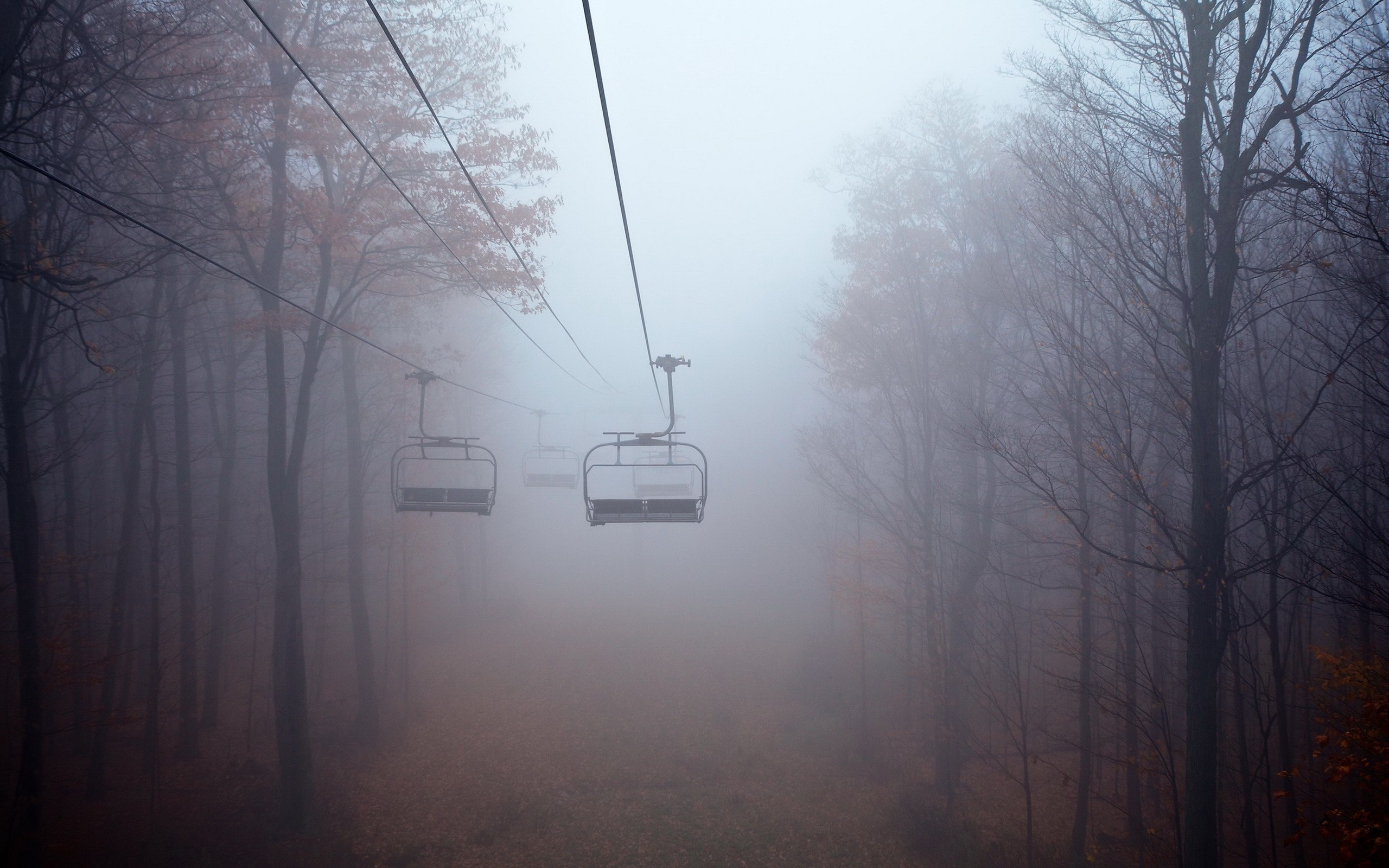 mist, Trees, Landscape, Forest Wallpaper
