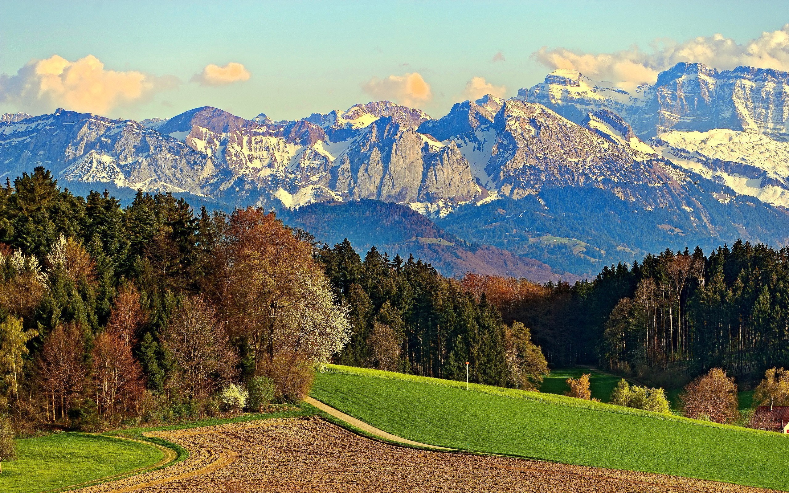 nature, Landscape, Mountain, Trees Wallpaper