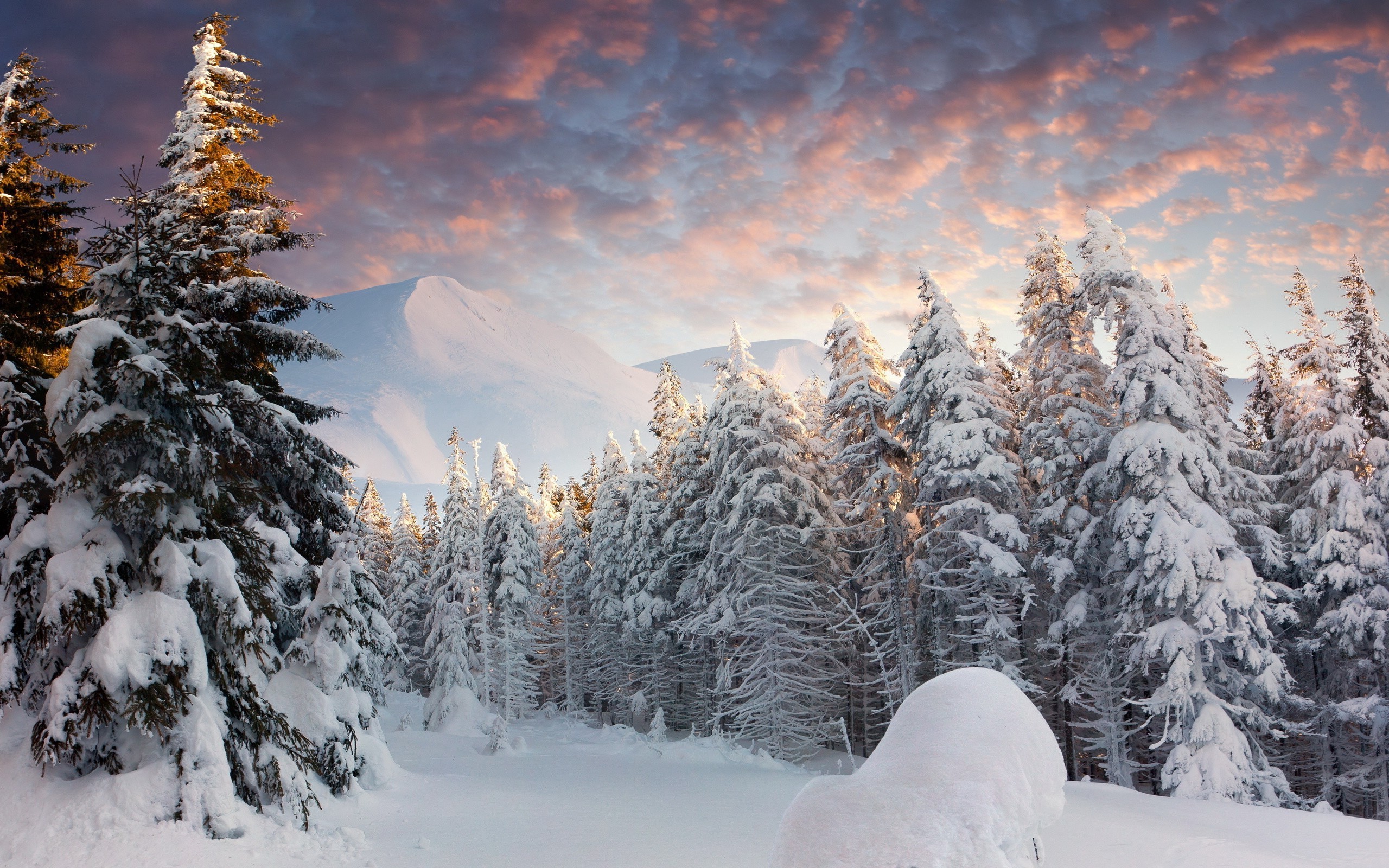 landscape, Nature, Snow, Forest Wallpaper