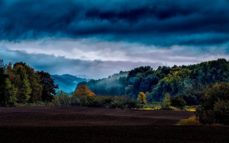 landscape, Nature, Forest, Mist HD Wallpaper Desktop Background