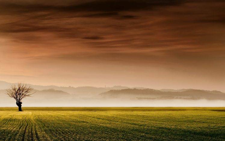 landscape, Nature, Field, Mist HD Wallpaper Desktop Background