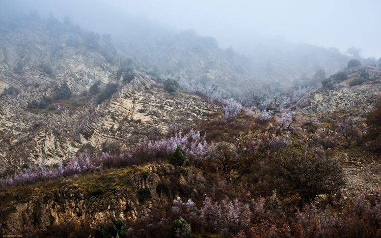 landscape, Nature, Mist HD Wallpaper Desktop Background