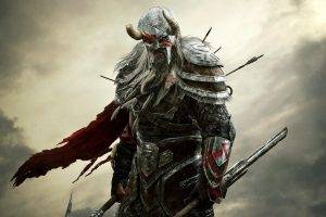 video Games, The Elder Scrolls Online, The Elder Scrolls, Fantasy Art, Warrior