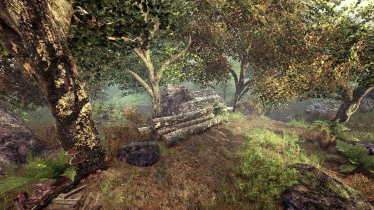 nature, Landscape, The Elder Scrolls V: Skyrim, Trees, Forest, Video Games HD Wallpaper Desktop Background