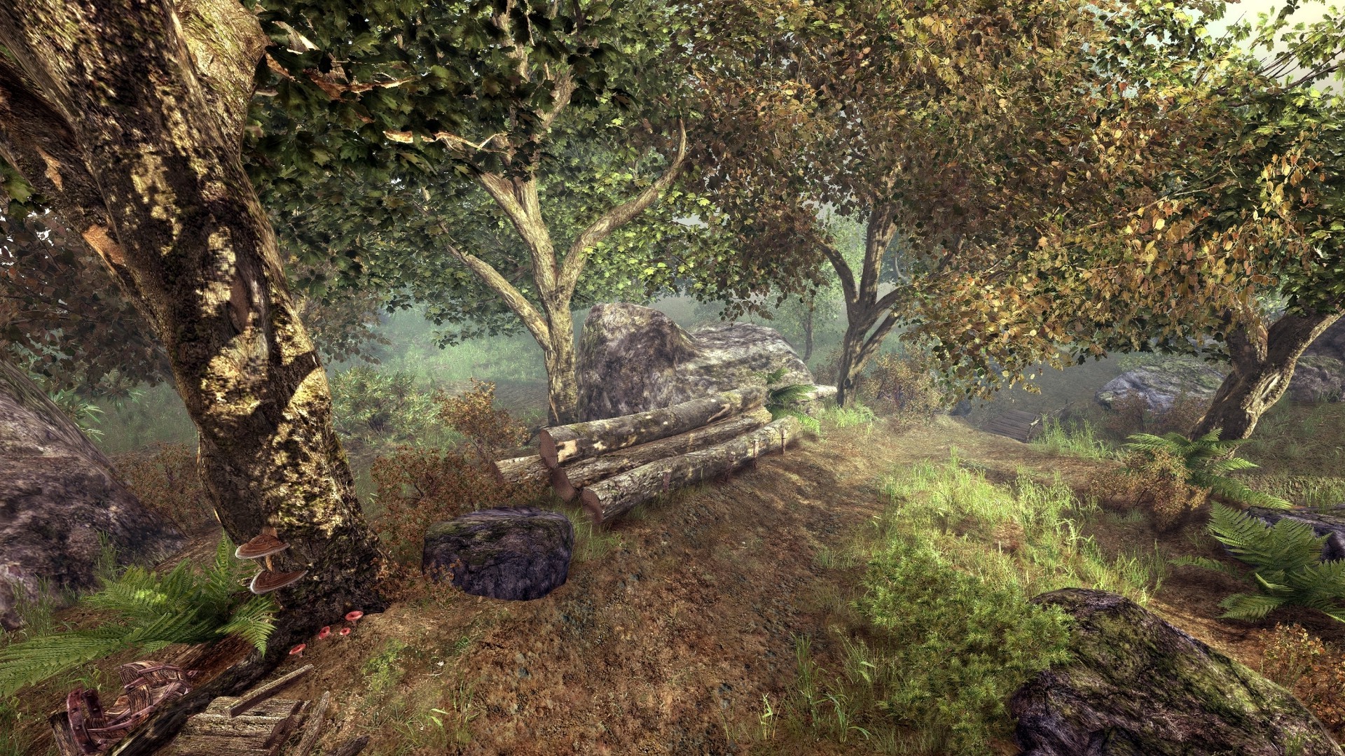 nature, Landscape, The Elder Scrolls V: Skyrim, Trees, Forest, Video Games Wallpaper
