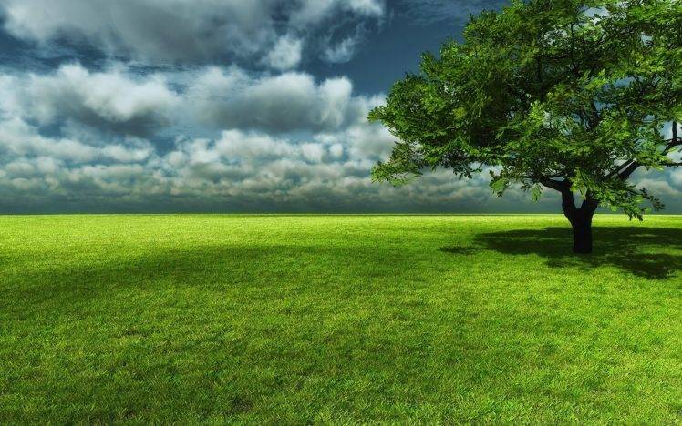 nature, Landscape, Trees, Grass HD Wallpaper Desktop Background