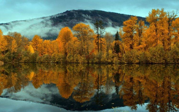 nature, Landscape, Lake, Trees, Forest, Reflection HD Wallpaper Desktop Background