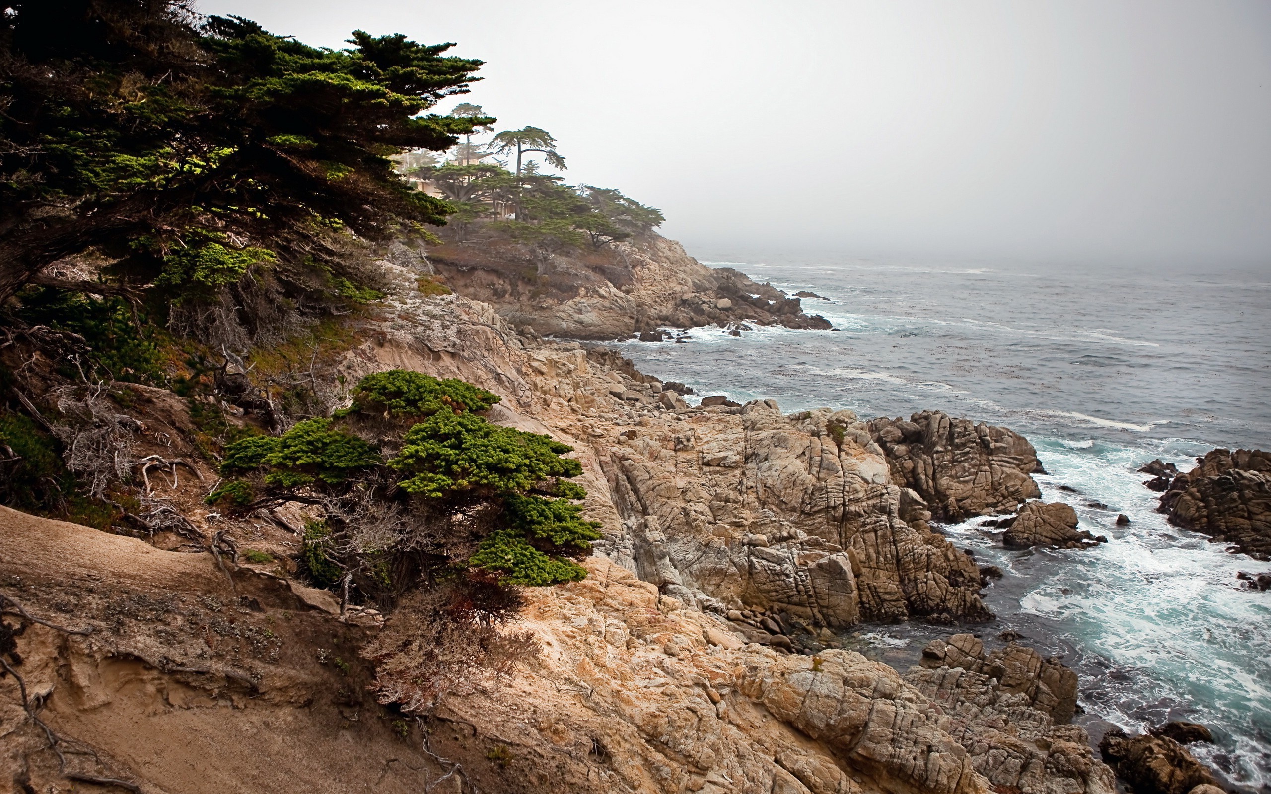 nature, Landscape, Sea, HDR, Cliff, Waves, Mist Wallpaper