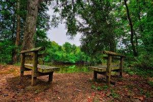nature, Landscape, HDR, Bench, Trees, Forest, Lake, Leaves
