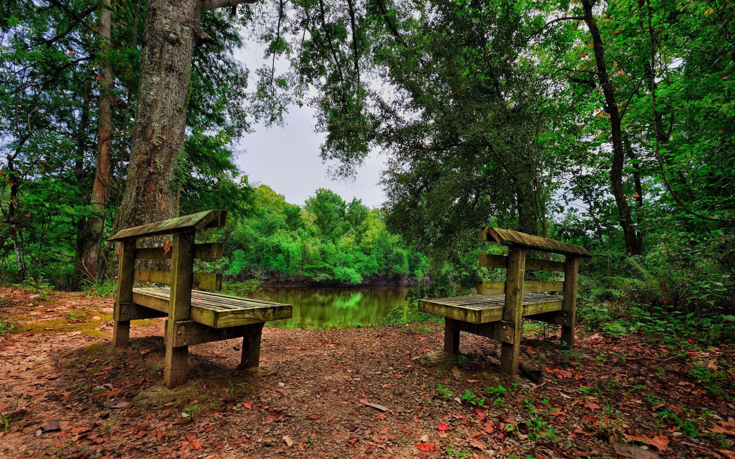 nature, Landscape, HDR, Bench, Trees, Forest, Lake, Leaves Wallpaper
