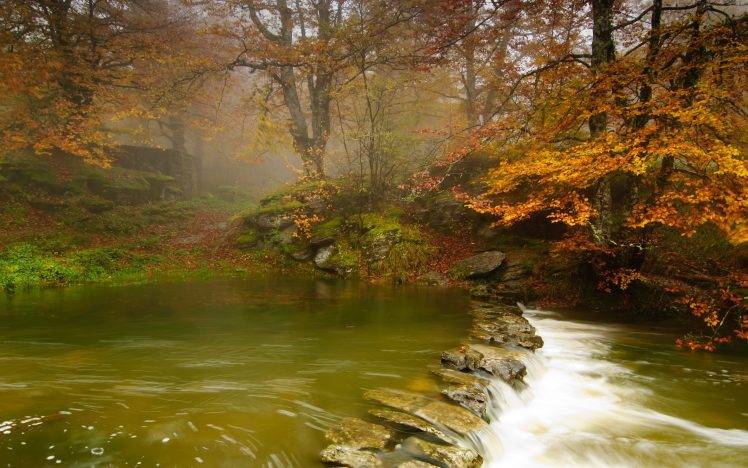nature, Landscape, River, Forest, Trees, Stones HD Wallpaper Desktop Background
