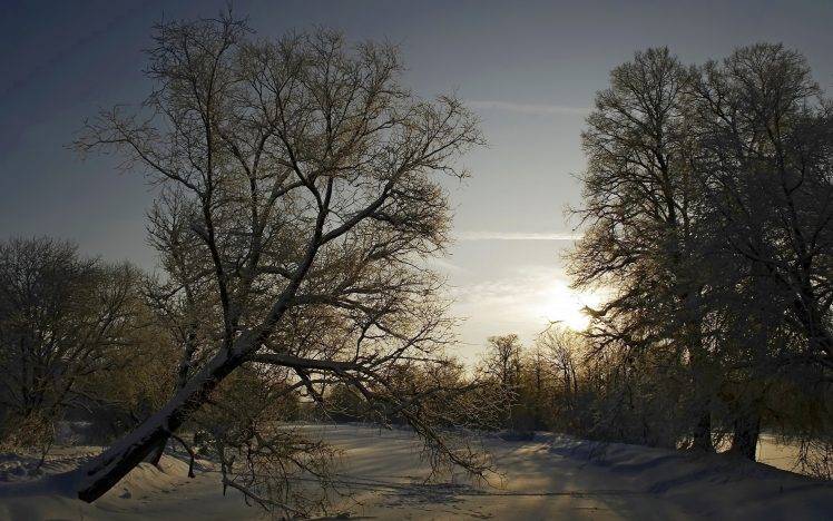 nature, Landscape, Snow, Trees, Forest HD Wallpaper Desktop Background