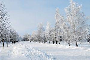 nature, Landscape, Snow, Trees, Road
