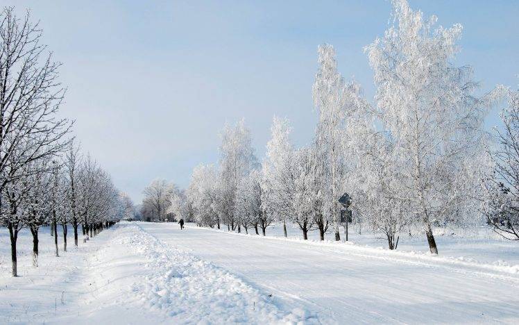 nature, Landscape, Snow, Trees, Road HD Wallpaper Desktop Background
