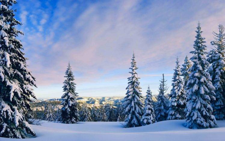 nature, Landscape, Snow, Trees, Forest HD Wallpaper Desktop Background