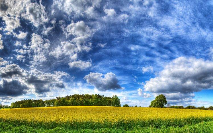 nature, Landscape, HDR, Field, Trees, Clouds HD Wallpaper Desktop Background